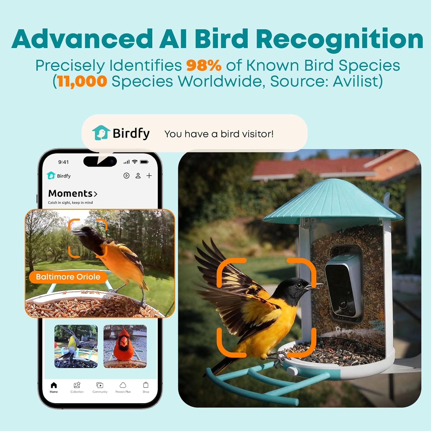 Smart Bird Feeder with AI Came - Watches & Jewelry Repair Center New York review and price