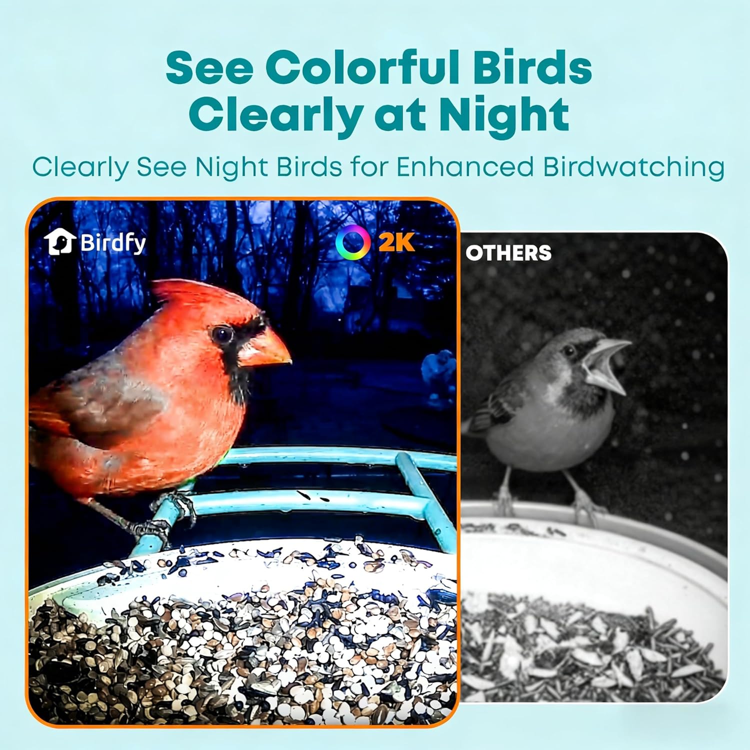 Smart Bird Feeder with AI Came - Watches & Jewelry Repair Center New York review and price