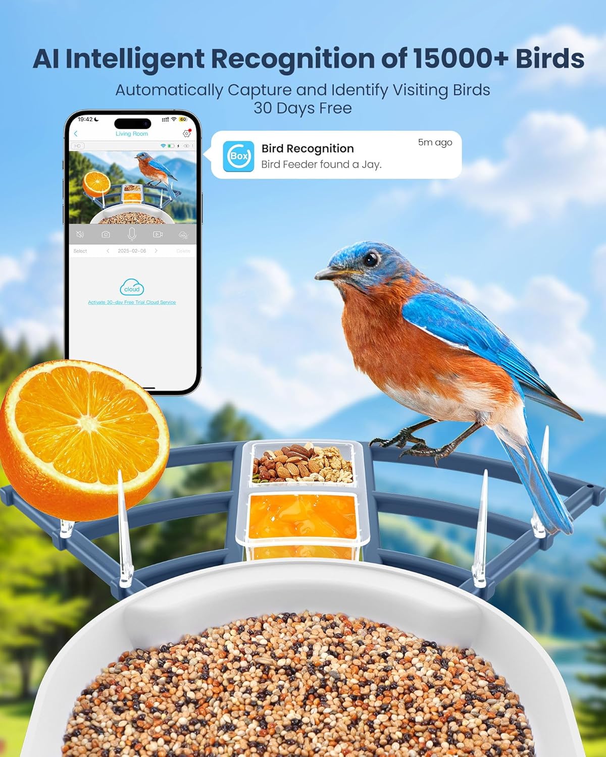 Smart Bird Feeder with Camera, - Watches & Jewelry Repair Center New York review and price