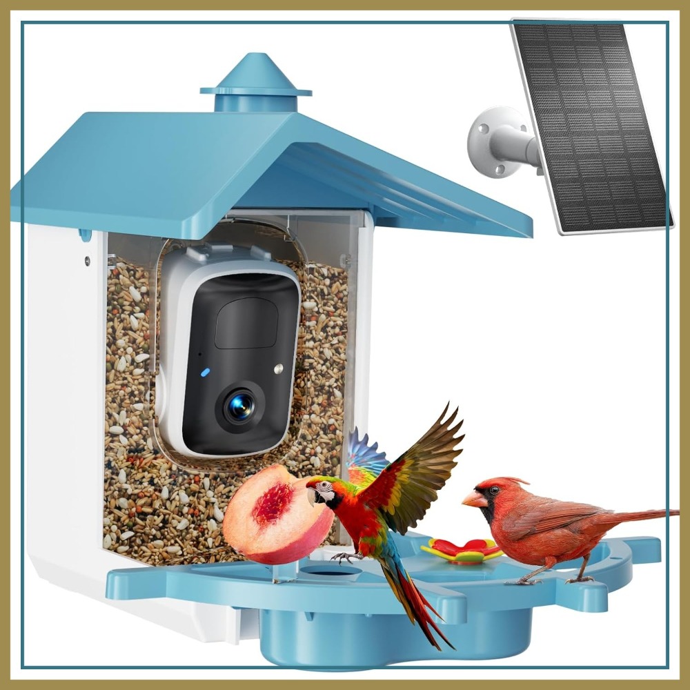 Bird Feeder with Camera for Ou - Watches & Jewelry Repair Center New York review and price
