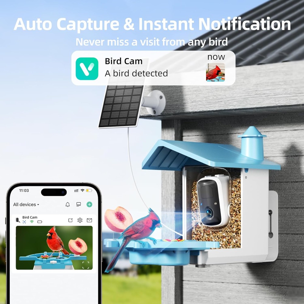 Bird Feeder with Camera for Ou - Watches & Jewelry Repair Center New York review and price