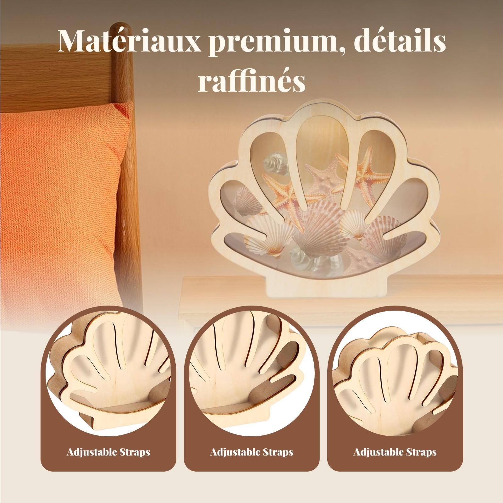 Wooden Shell Display Box Colle - Collectors Coins Jewelry & Watches Of Smithtown review and price